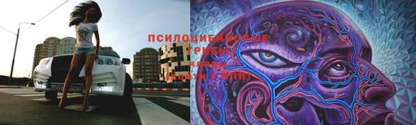 молекула духа Россошь
