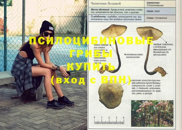 молекула духа Россошь