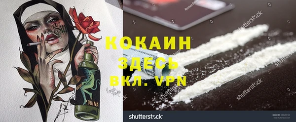 ГАЛЛЮЦИНОГЕННЫЕ ГРИБЫ Алзамай